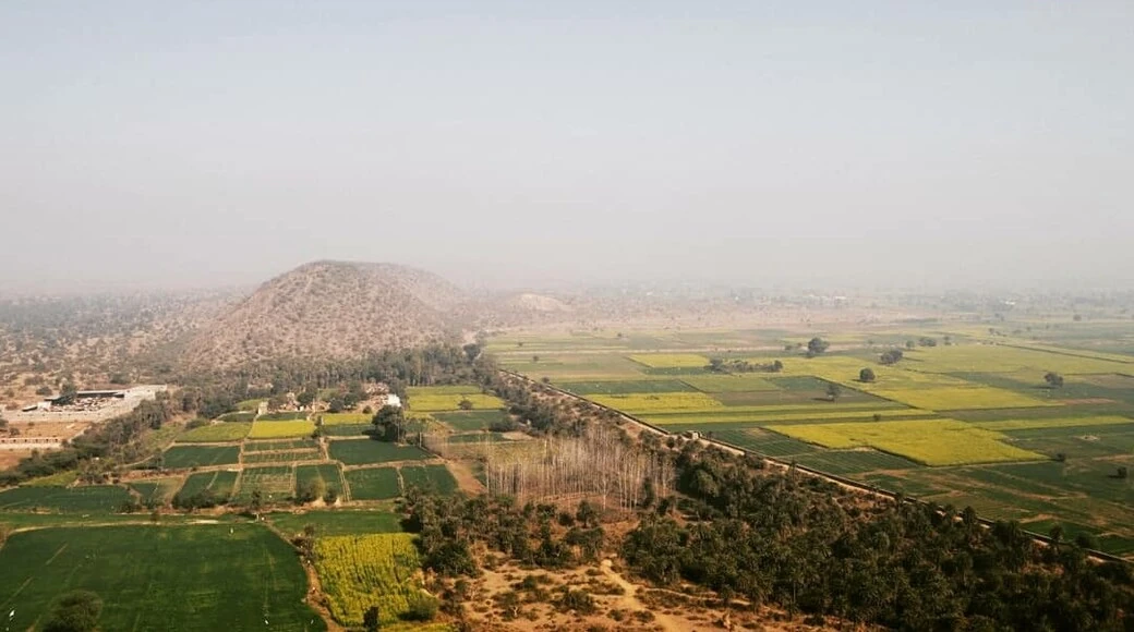Representative Shahpura / Rajasthan regional landscape